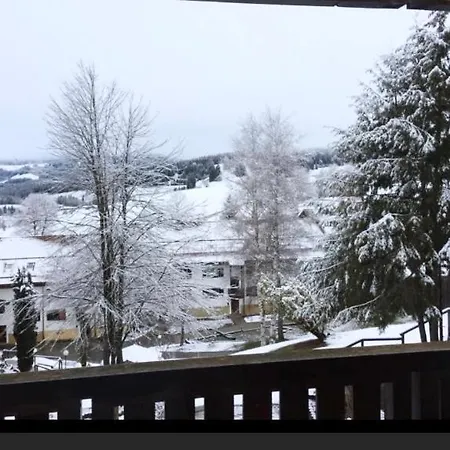 Alpenwiese Mit Hallenbad&sauna Appartamento *