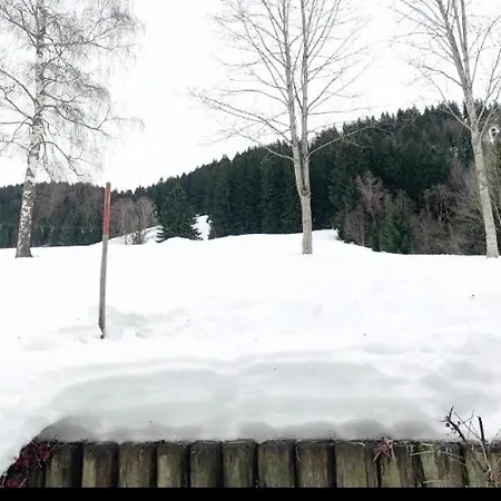 Alpenwiese Mit Hallenbad&sauna * Missen-Wilhams