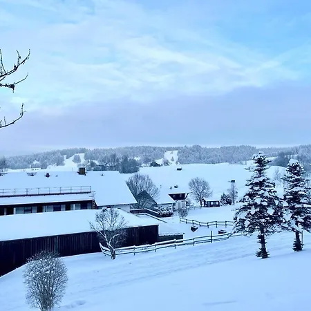 Apartment Alpenwiese Mit Hallenbad&sauna Missen-Wilhams