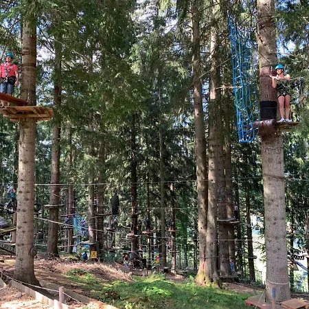 Alpenwiese Mit Hallenbad&sauna Appartamento *