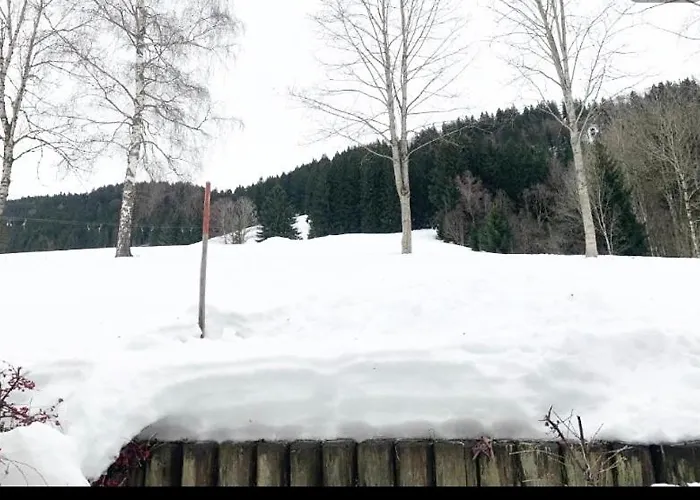 Alpenwiese Mit Hallenbad&sauna * Missen-Wilhams