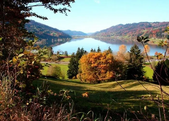 Alpenwiese Mit Hallenbad&sauna * Missen-Wilhams